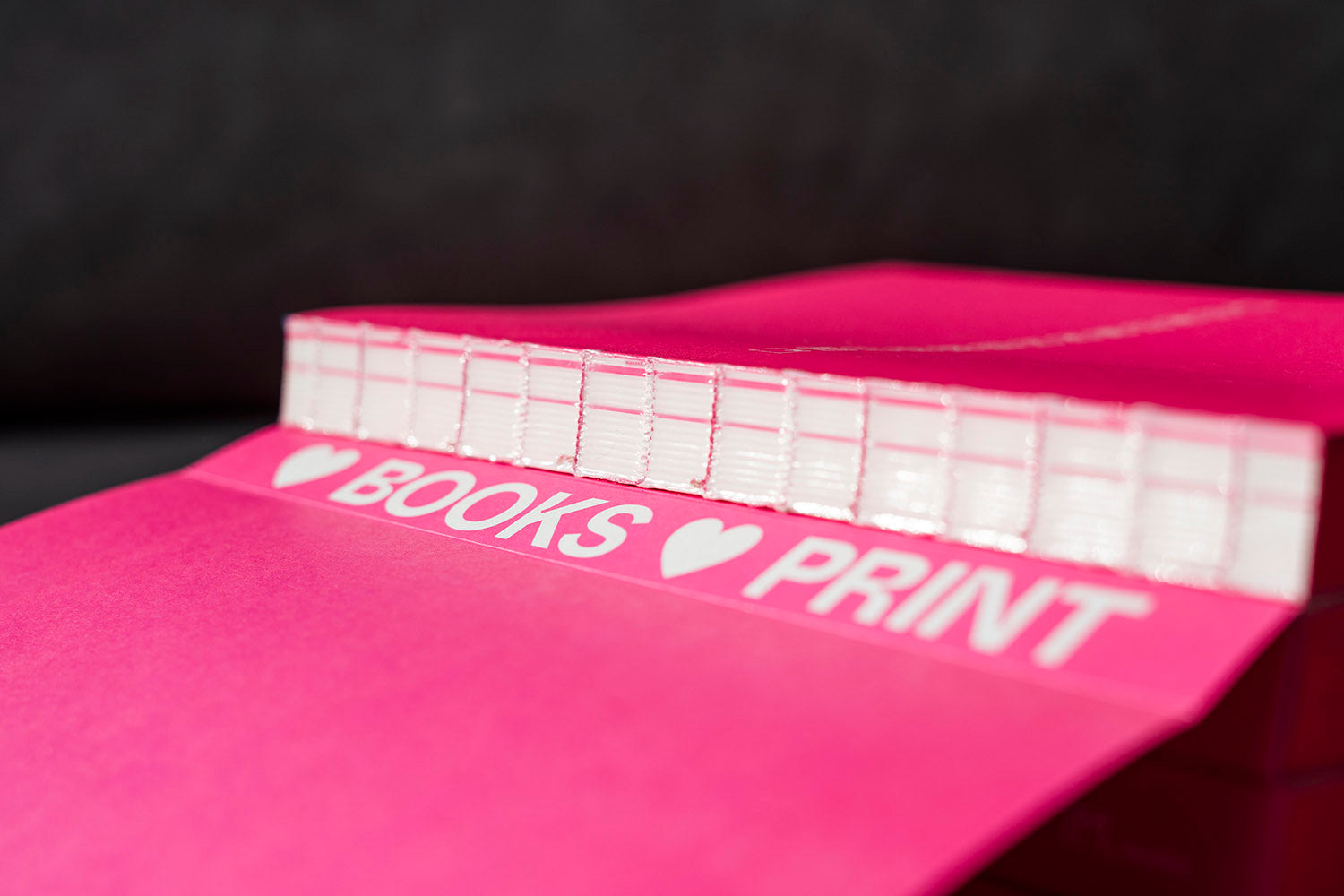 Encuadernación suiza del libro InDesign Lab, escrito y diseñado por Salva Cerdá. Se aprecia la encuadernación con hilo rosa y el rótulo «Love Books Love Print».