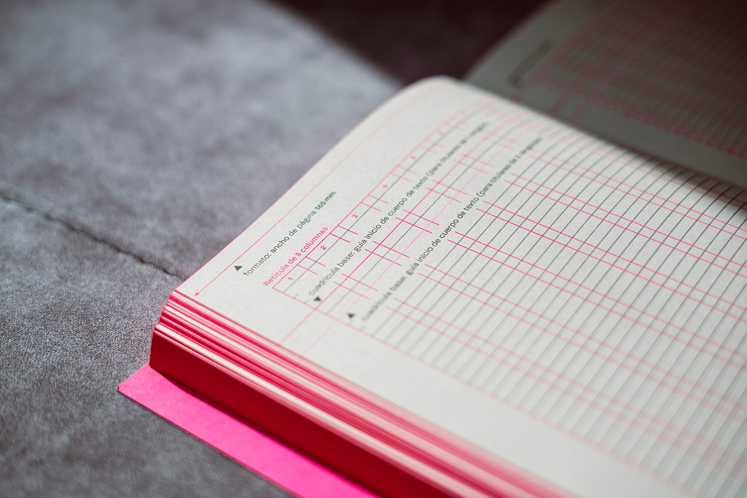 Detalle de página con retícula del propio libro InDesign Lab de Salva Cerdá, diseño editorial avanzado